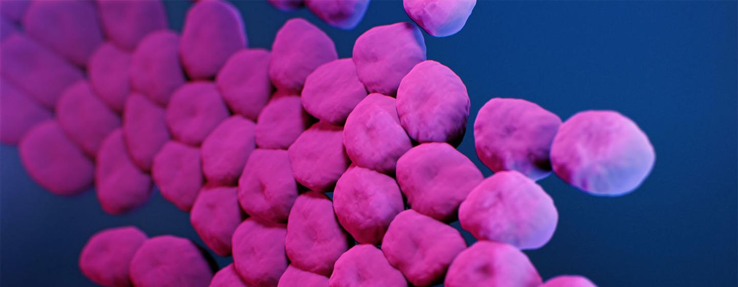 Invisible Killer What Is Antimicrobial Resistance? Alternative